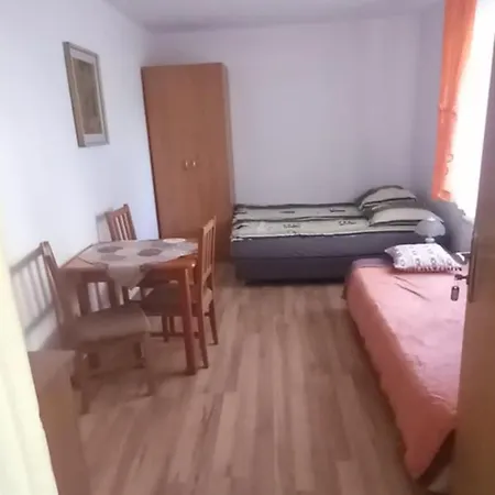 Goscinne Agatka Проживание в семье *