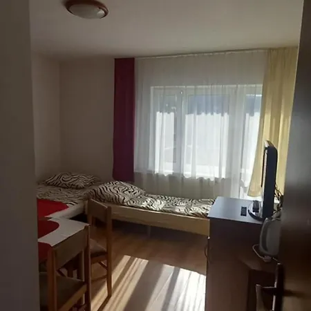 Goscinne Agatka Проживание в семье *