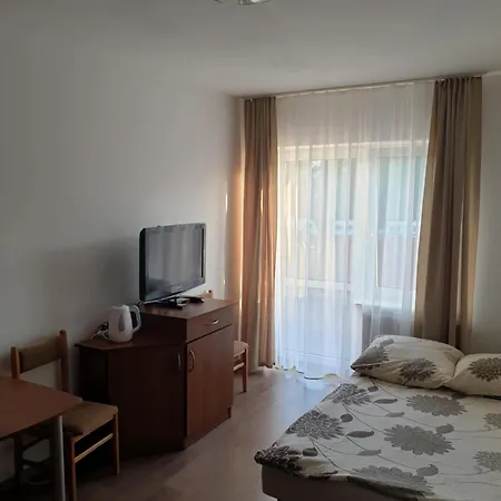Goscinne Agatka Проживание в семье